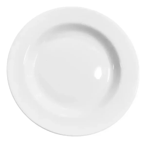 Plato hondo de porcelana L.1150 20 cm – TSUJI