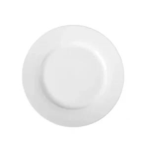 Plato playo de porcelana L.1150 25 cm – TSUJI