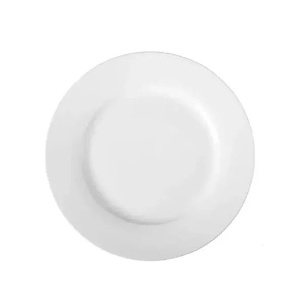 Plato playo de porcelana L.1150 25 cm – TSUJI