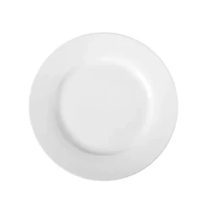 Plato playo de porcelana L.1150 27 cm – TSUJI