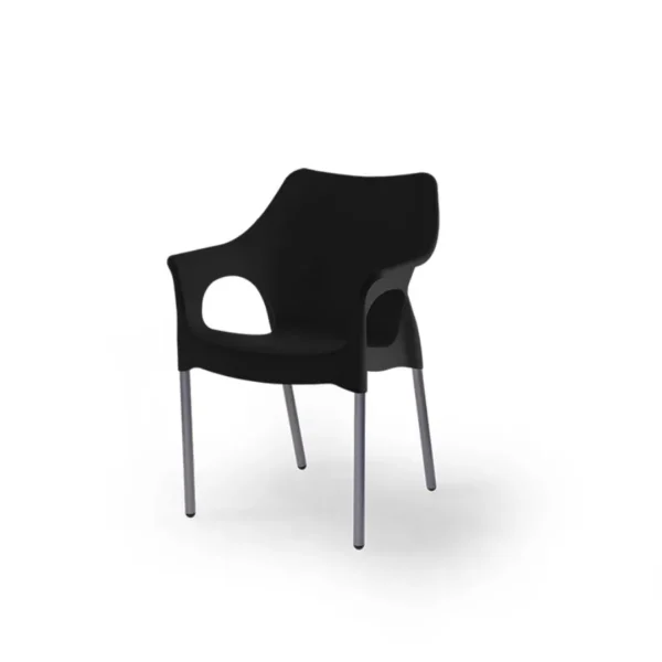 Sillón plástico Zafiro negro – GEMINELLI