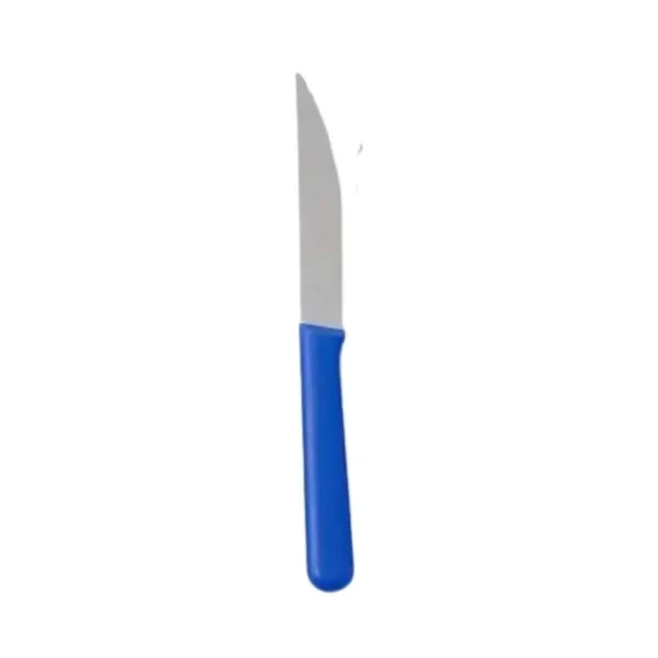 Cuchillo mango plástico azul x 12 – CAROL