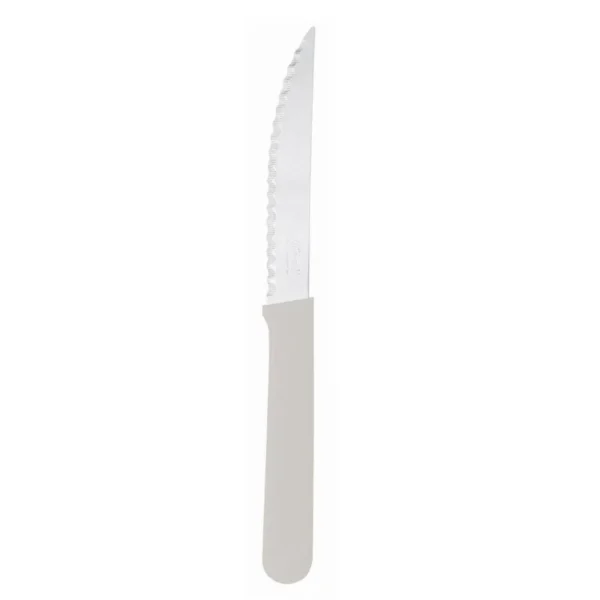 Cuchillos acero inoxidable mango plástico x 12 – CAROL