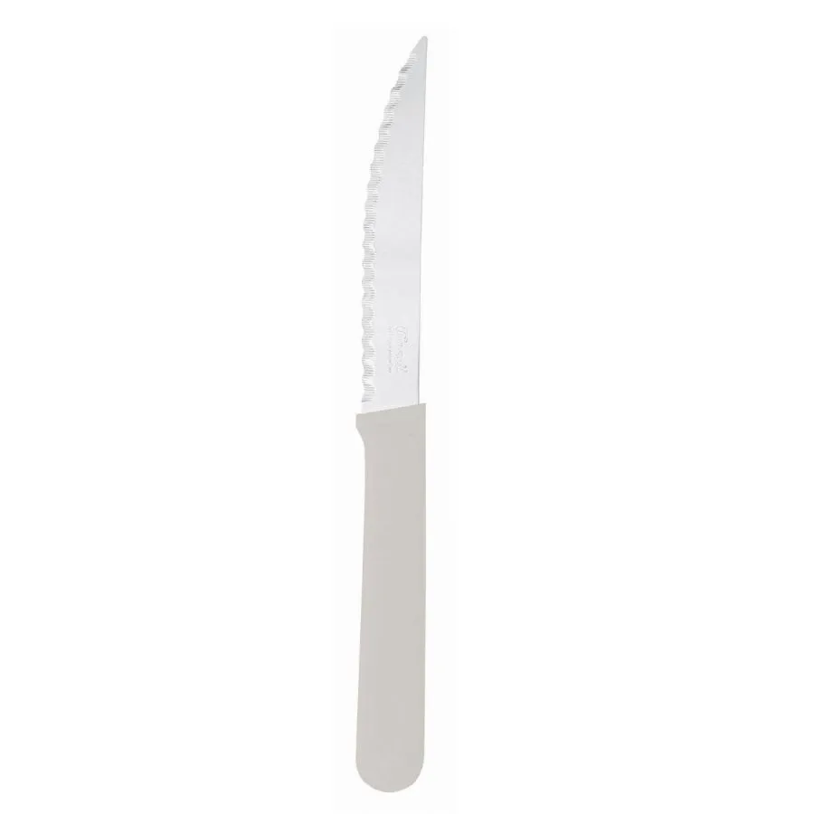 Cuchillos acero inoxidable mango plástico x 12 – CAROL