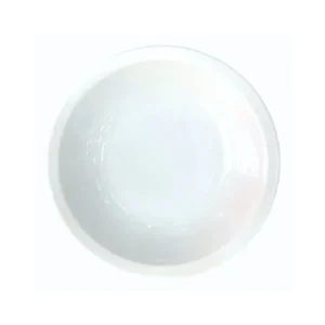Plato hondo de porcelana L.450 20 cm – TSUJI