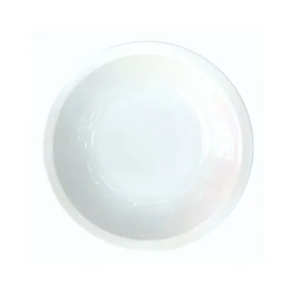Plato hondo de porcelana L.450 20 cm – TSUJI