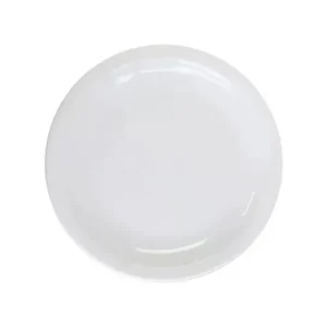 Plato playo de porcelana L.450 21 cm – TSUJI
