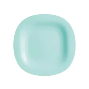PLATO VID PLAYO CARINE TURQ 27 cm