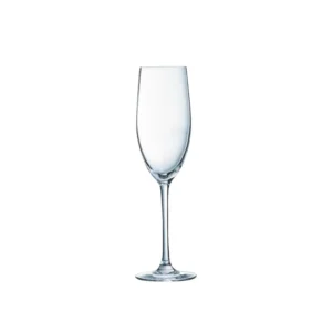COPA VID CABERNET 4583 CHAMP 160 ML