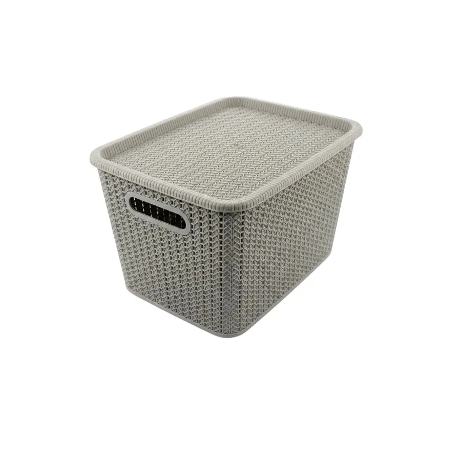 Caja organizadora ratán 20 L con tapa beige – SAO LEOPOLDO