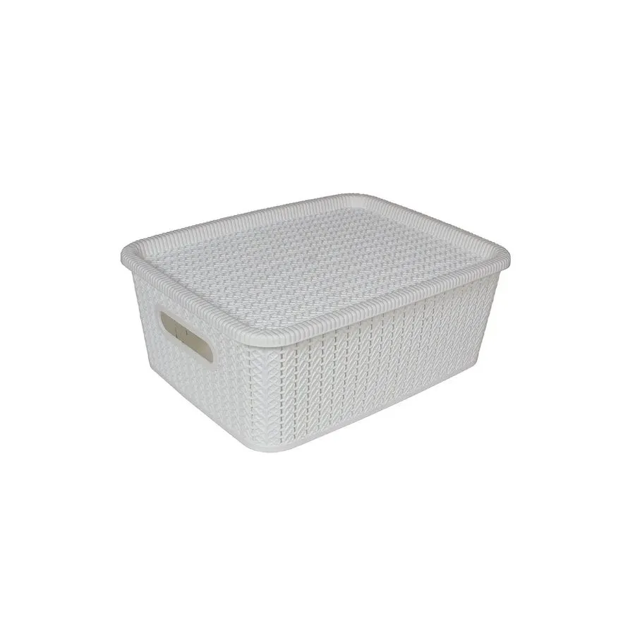 Caja organizadora ratán 5 L con tapa – SAO BERNARDO