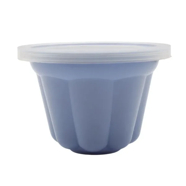 MOLDE PLAST FLAN / GELATINA DIF