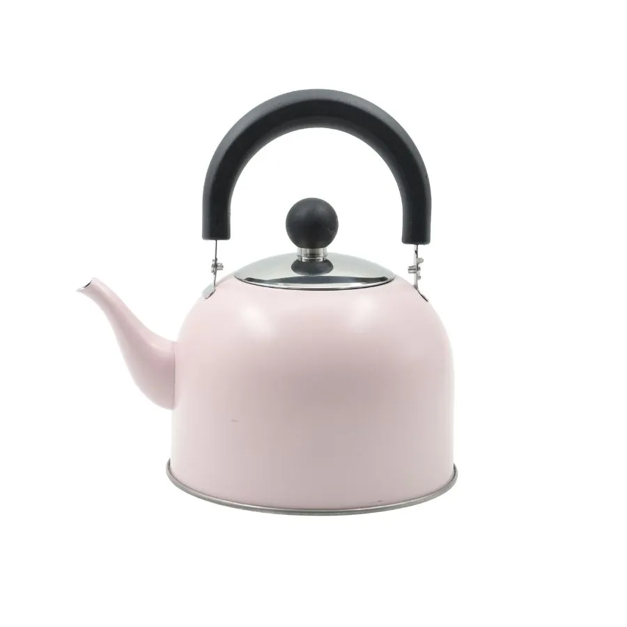 Pava acero pastel con pico matero 1,6 L – THE KITCHEN