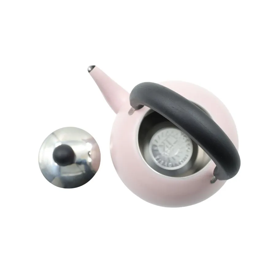 Pava acero pastel con pico matero 1,6 L – THE KITCHEN