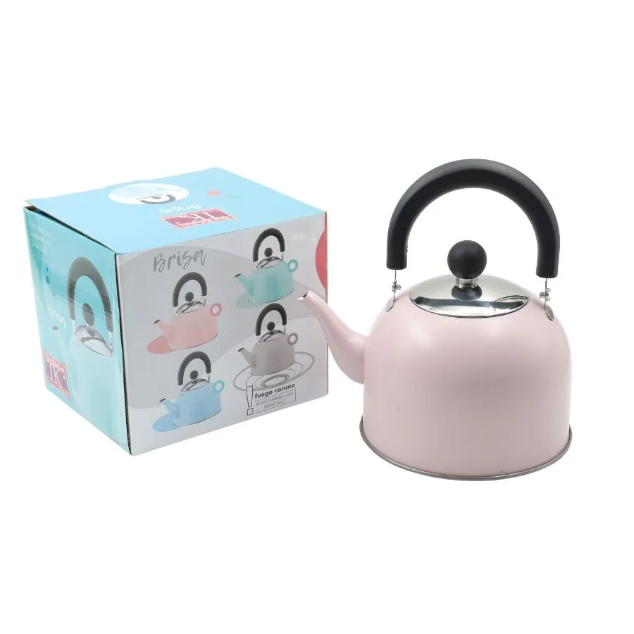 Pava acero pastel con pico matero 1,6 L – THE KITCHEN