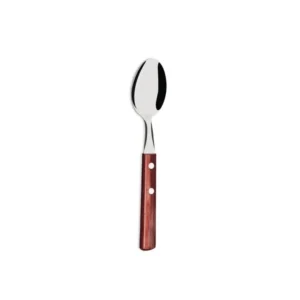 Cuchara Polywood x 12 – TRAMONTINA
