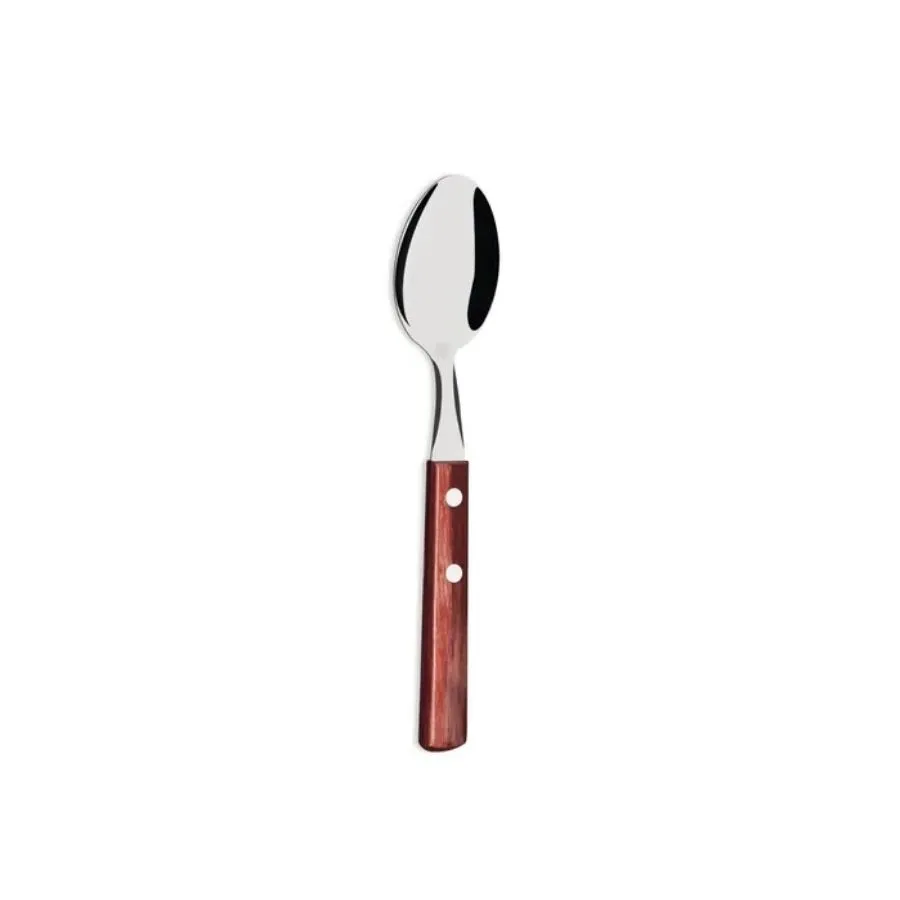 Cuchara Polywood x 12 – TRAMONTINA
